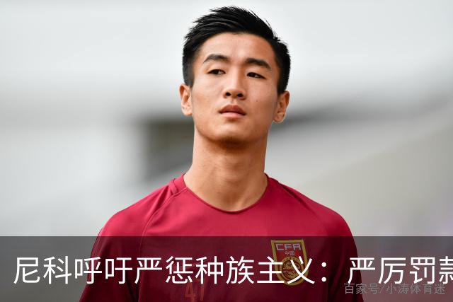尼科呼吁严惩种族主义：严厉罚款+追究刑责+精准识别