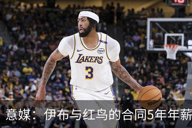 意媒：伊布与红鸟的合同5年年薪100万欧，职责除了竞技还涉及商业